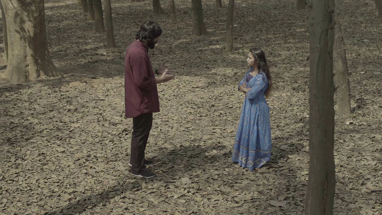 Last Wish — forest wide shot