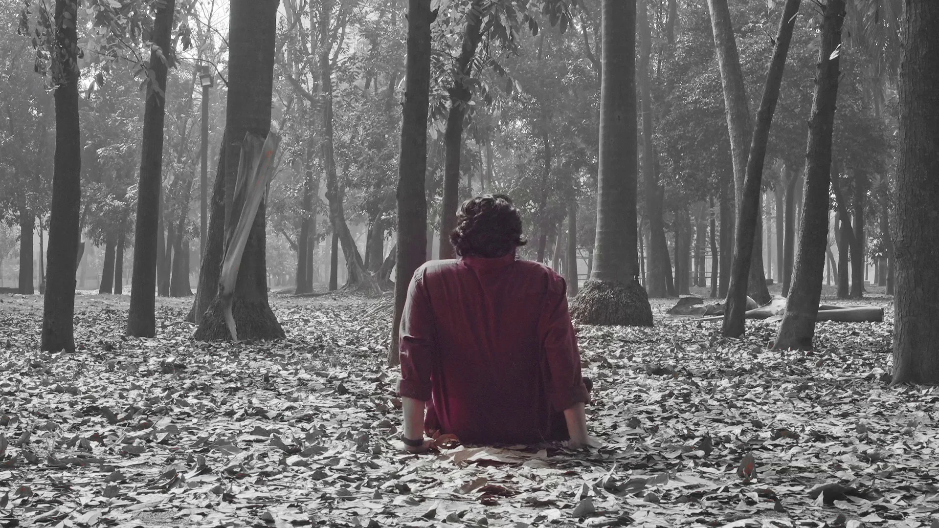 Last Wish — monochrome forest still